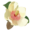 magnoliaspringshomes.com icon