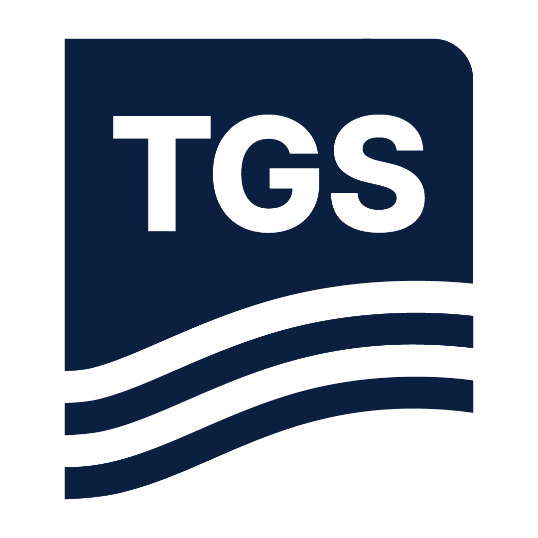 magseisfairfield.com icon