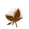 mahnoorfashion.com icon