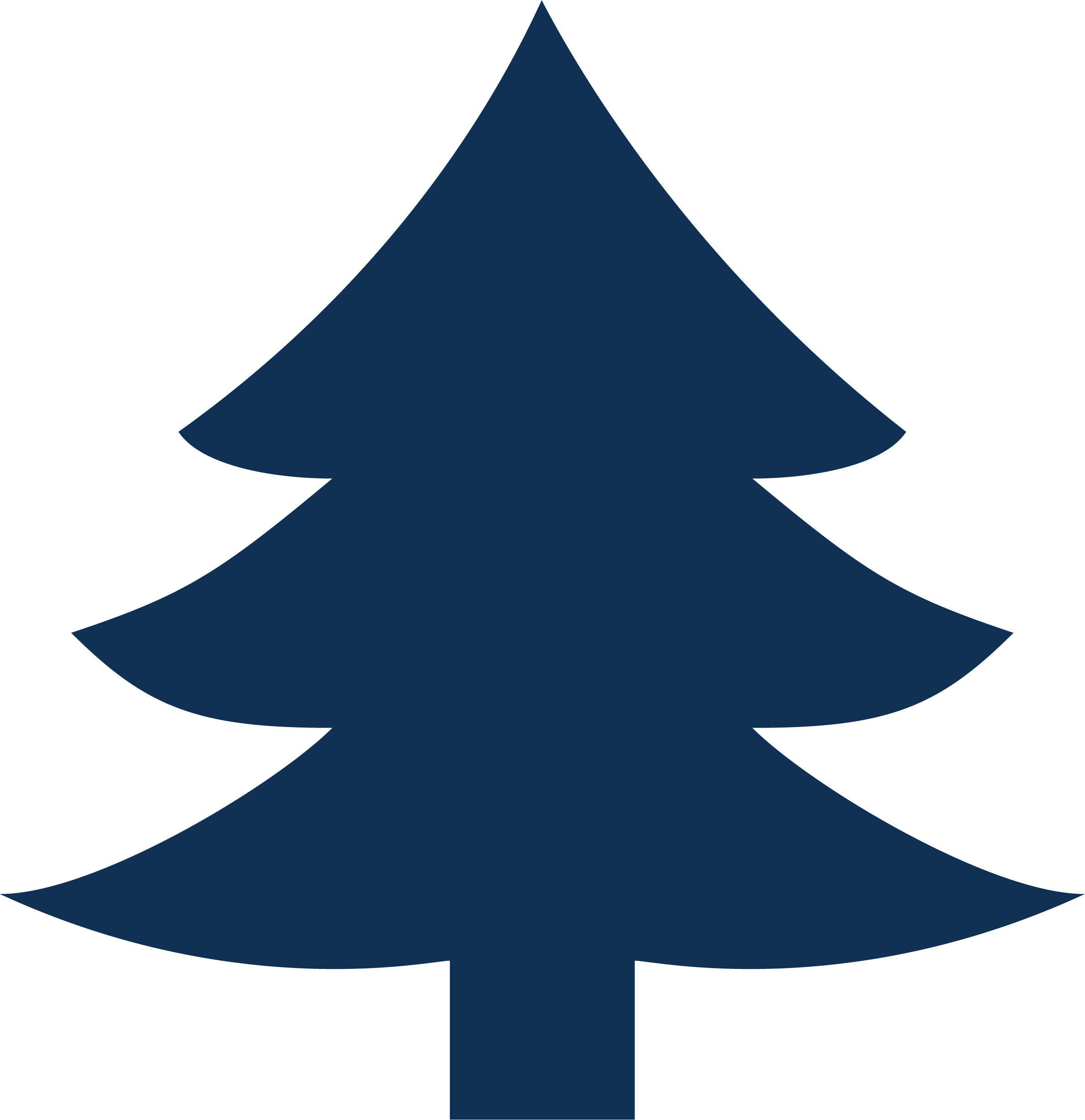 mainelse.org icon