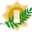 maitrescuisiniersdefrance.com icon