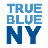 makenytrueblue.org icon