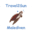 malediven-piraten.com icon
