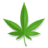 mallorcaweed.net icon