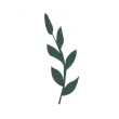 mamamindonesia.id icon