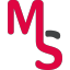 managementsupportacademy.nl icon