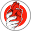 manodesanto.com icon