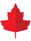maple.com.mm logo