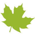 maplecreativestudio.com icon