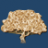 mapletime.com icon