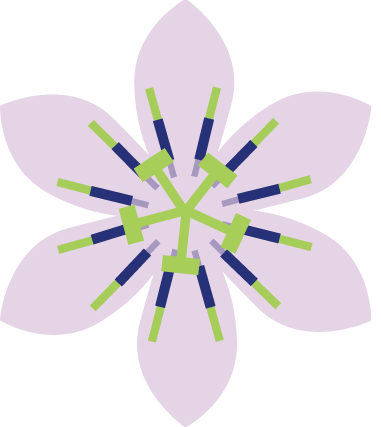 maracuya.com.pa logo