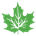 marankialisveris.com logo