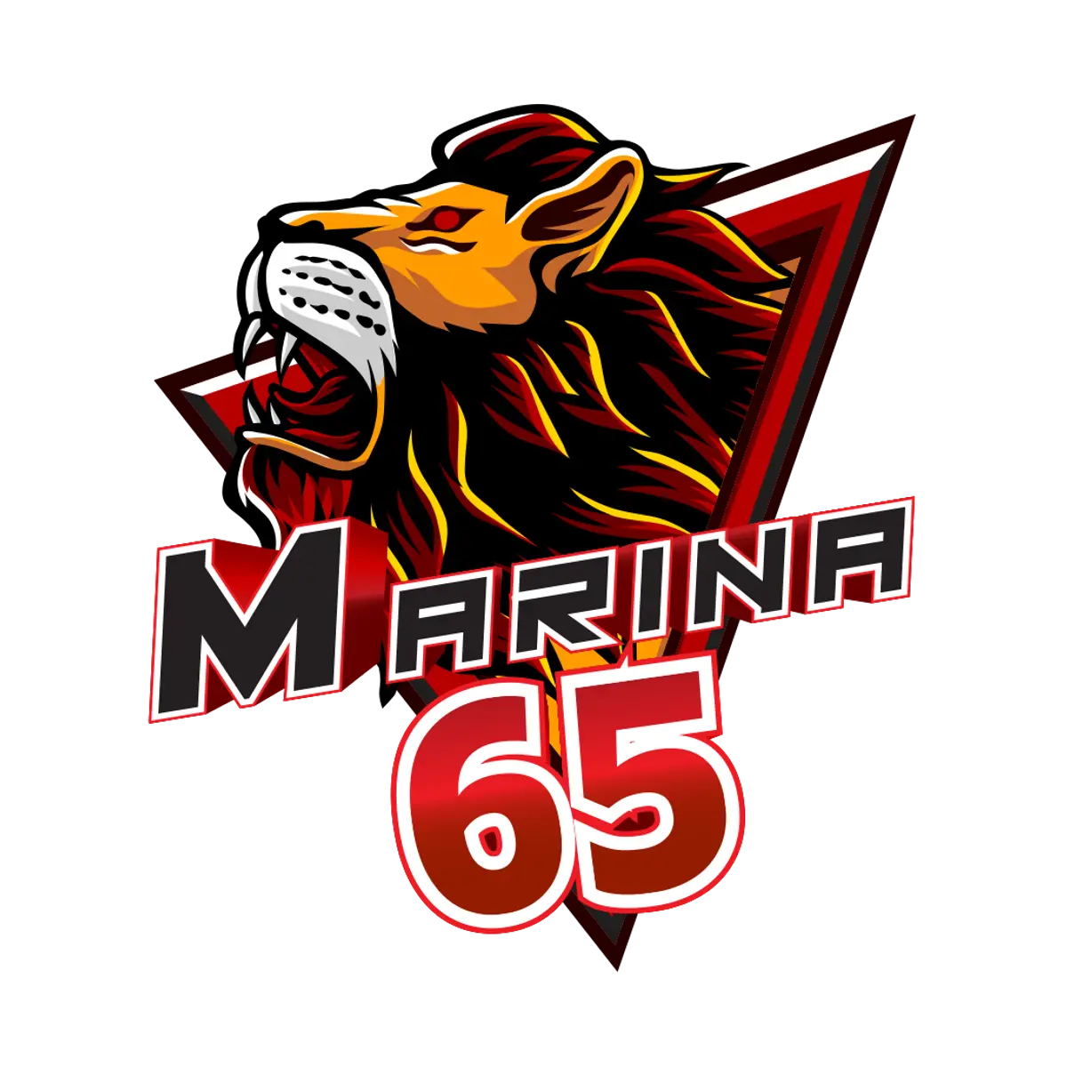 marina65.com logo