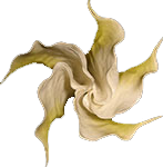 mariperron.com icon