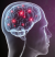 markrobertwaldman.com icon