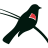 marshesgolfclub.com icon