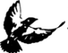 martinhousebrewing.com icon