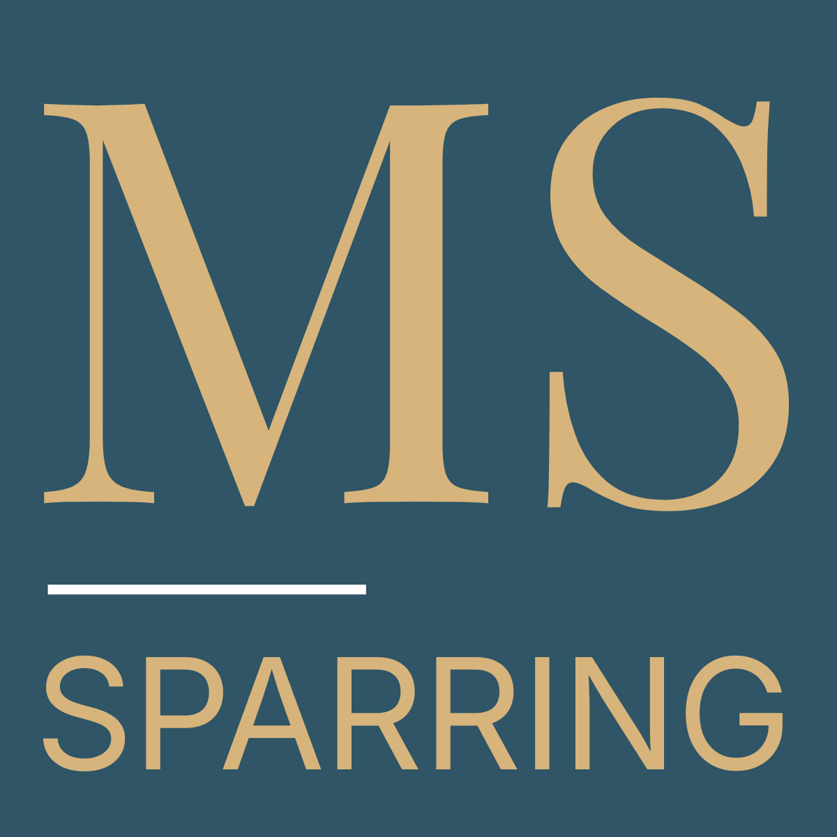martinsaenger.de icon