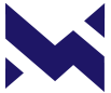 martinscauri.com icon