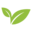 marzettifoodservice.com icon