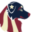 mascusa.org icon