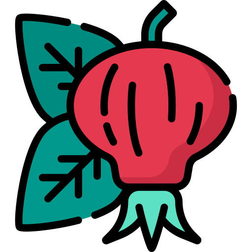 master77.store icon