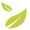 matchaextreme.com icon