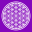 mathildefinsterwald.com icon
