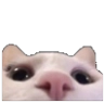 mattcompton.dev icon
