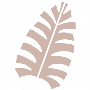 Maui Moisture logo
