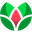 maxsi.id icon