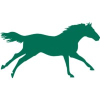 mccauleysfeeds.com icon