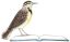 meadowlarkbookstore.com icon