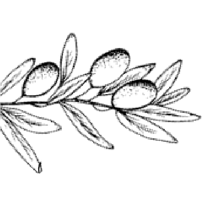 mediterraneandiner.info icon