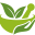 medizinzumselbermachen.de icon