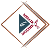 medlib.ru icon