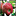 meetmeinmarlborough.com icon