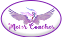 meiercoaches.com icon
