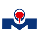 meierguss.de icon