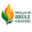 meilleurbrulegraisse.com icon
