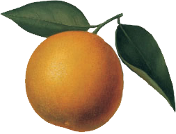 meine-orangerie.de icon