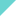 Domain Favicon