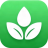 mellowgreencbd.com icon