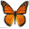 menopause-metamorphosis.com icon