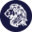messiahofisraelministries.org icon