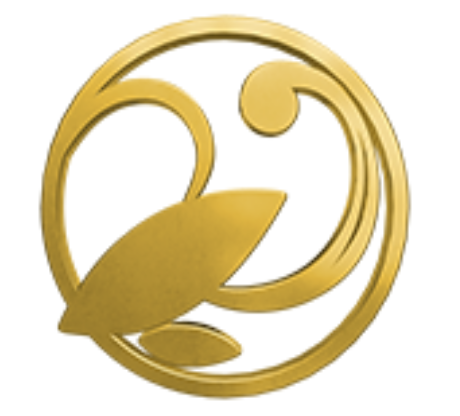 metrodua.com icon