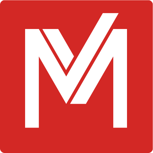 metzler-electronics.com icon