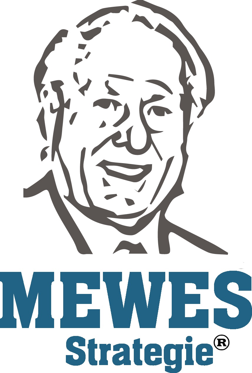 mewes-strategie.de icon