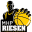 mhp-riesen-ludwigsburg.de icon
