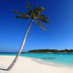 miamirealestateguy.com icon
